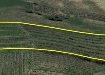 Foto 3 - Terreno agricolo contrada caltrucci, Scerni - foto 3