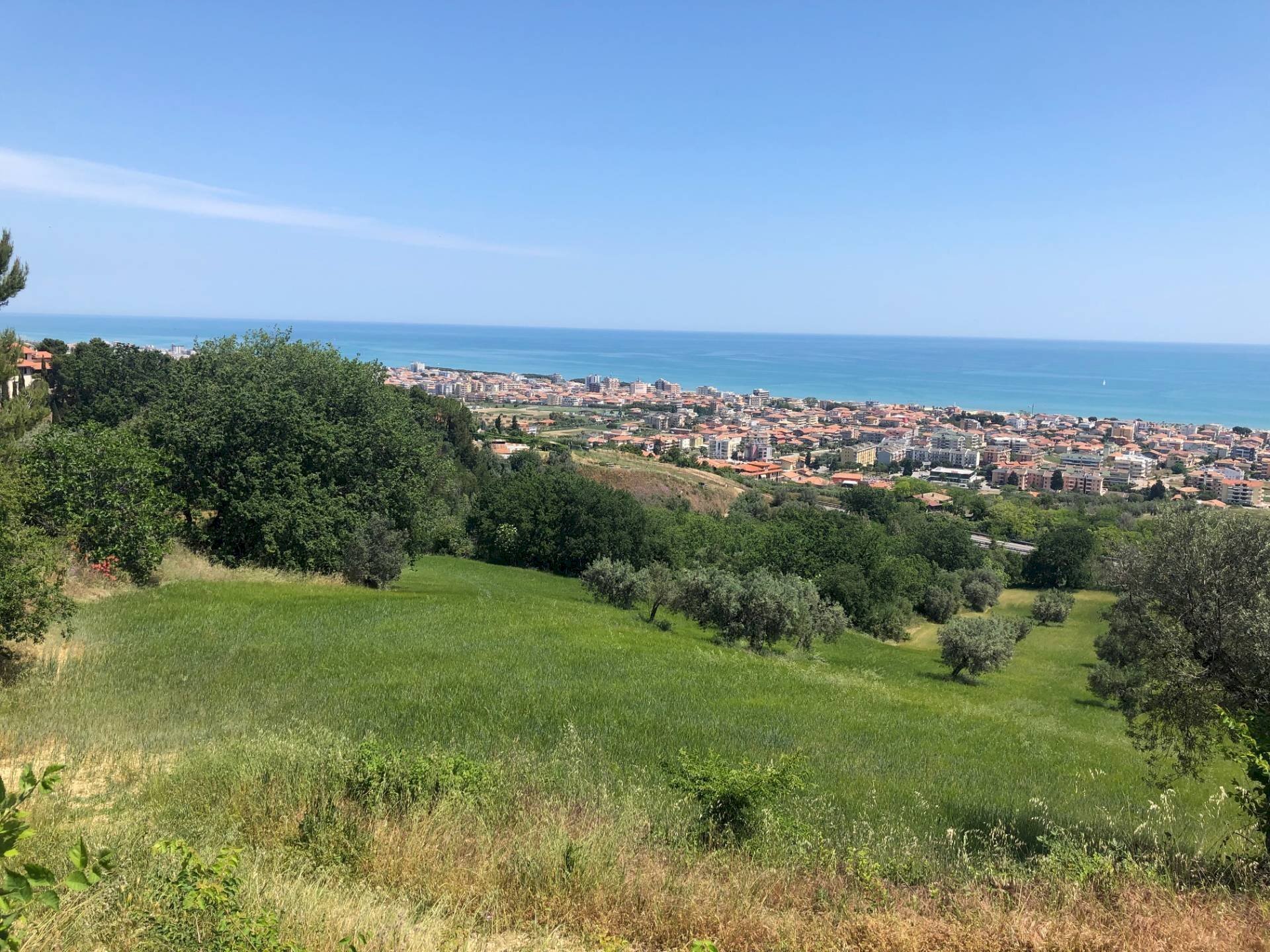 Foto 3 - Terreno edificabile contrada Vascello, Tortoreto - foto 3