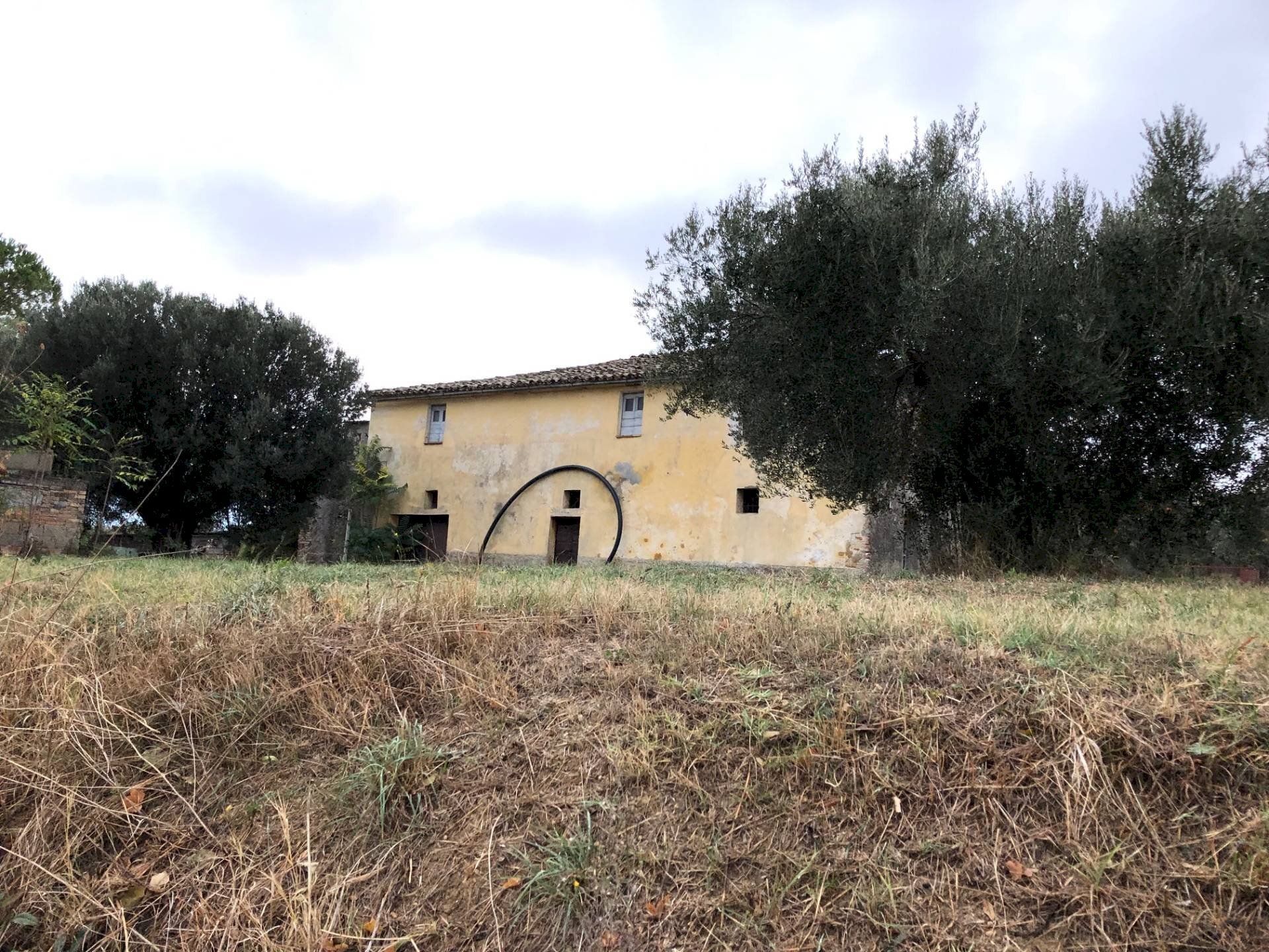 Foto 3 - Rustico Via della Madonna
 
37, Bellante - foto 3