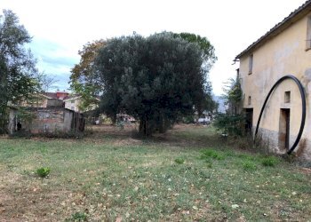 Foto 9 - Rustico Via della Madonna
 
37, Bellante - foto 9