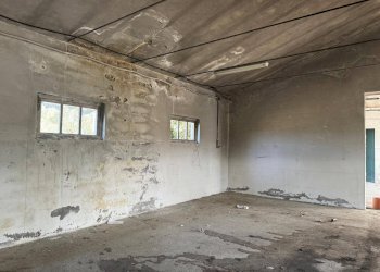 Foto 19 - Rustico Via Chieti, Castellalto - foto 19