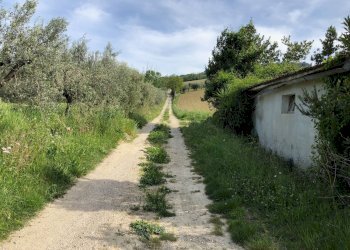 Foto 28 - Rustico Via Chieti, Castellalto - foto 28