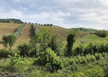 Foto 29 - Rustico Via Chieti, Castellalto - foto 29