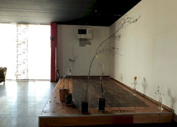 Foto 9 - Capannone Via Masci, Roseto degli Abruzzi - foto 9