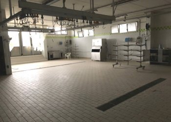 Foto 13 - Capannone Via Masci, Roseto degli Abruzzi - foto 13