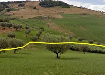 Foto 2 - Terreno agricolo Villa De Luca, Bellante - foto 2