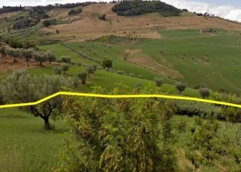 Foto 3 - Terreno agricolo Villa De Luca, Bellante - foto 3