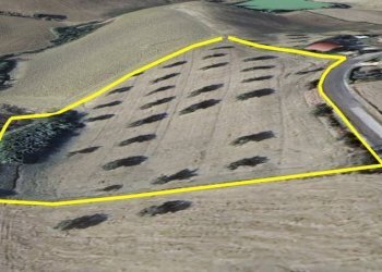 Foto 6 - Terreno agricolo Villa De Luca, Bellante - foto 6