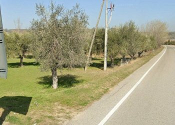 Foto 1 - Terreno edificabile Via Tordino, Castellalto - foto 1