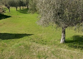 Foto 2 - Terreno edificabile Via Tordino, Castellalto - foto 2