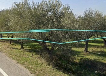 Foto 3 - Terreno edificabile Via Tordino, Castellalto - foto 3