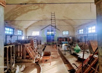 Foto 5 - Rustico Via Civita, Colonnella - foto 5