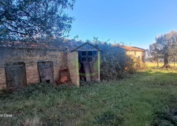 Foto 29 - Rustico Via Civita, Colonnella - foto 29