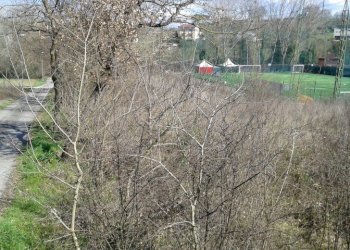 Foto 5 - Terreno edificabile Via Dell'Esperanto, Benevento - foto 5