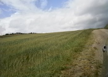Foto 1 - Terreno agricolo Contrada Mottola, Campolattaro - foto 1