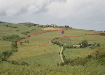 Foto 2 - Terreno agricolo Contrada Mottola, Campolattaro - foto 2