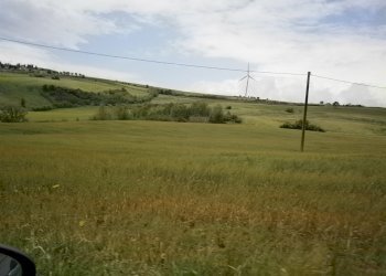 Foto 3 - Terreno agricolo Contrada Mottola, Campolattaro - foto 3