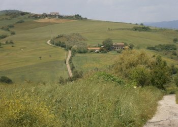 Foto 4 - Terreno agricolo Contrada Mottola, Campolattaro - foto 4