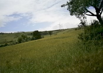 Foto 6 - Terreno agricolo Contrada Mottola, Campolattaro - foto 6