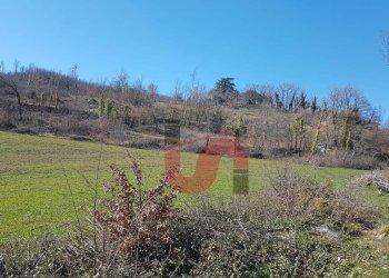 Foto 2 - Rustico Contrada Campolavoro, Riccia - foto 2