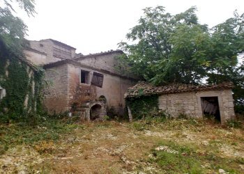 Foto 6 - Rustico Contrada Campolavoro, Riccia - foto 6