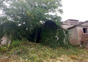 Foto 8 - Rustico Contrada Campolavoro, Riccia - foto 8