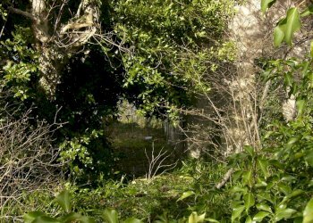 Foto 14 - Rustico Contrada Campolavoro, Riccia - foto 14