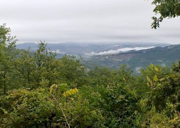 Foto 18 - Rustico Contrada Campolavoro, Riccia - foto 18