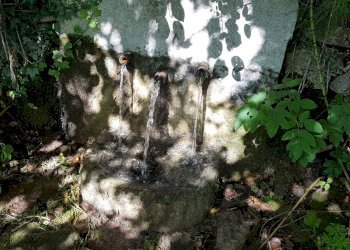 Foto 19 - Rustico Contrada Campolavoro, Riccia - foto 19