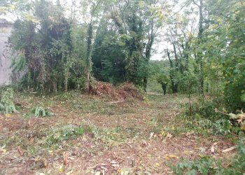 Foto 20 - Rustico Contrada Campolavoro, Riccia - foto 20