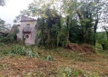 Foto 21 - Rustico Contrada Campolavoro, Riccia - foto 21