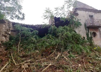 Foto 23 - Rustico Contrada Campolavoro, Riccia - foto 23