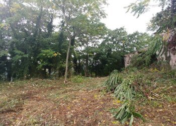 Foto 26 - Rustico Contrada Campolavoro, Riccia - foto 26