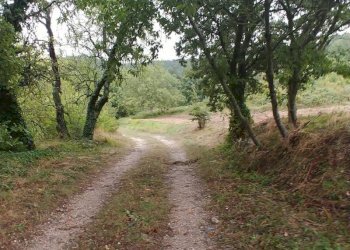 Foto 29 - Rustico Contrada Campolavoro, Riccia - foto 29