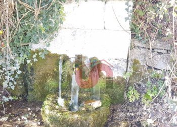 Foto 32 - Rustico Contrada Campolavoro, Riccia - foto 32