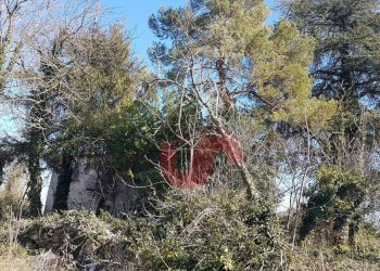 Foto 38 - Rustico Contrada Campolavoro, Riccia - foto 38