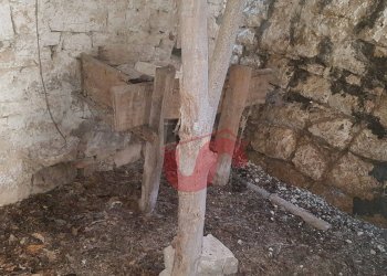 Foto 42 - Rustico Contrada Campolavoro, Riccia - foto 42