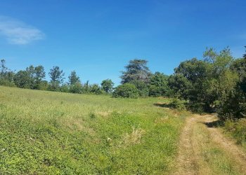 Foto 43 - Rustico Contrada Campolavoro, Riccia - foto 43