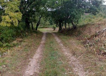 Foto 44 - Rustico Contrada Campolavoro, Riccia - foto 44