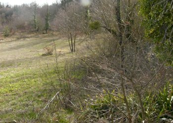 Foto 45 - Rustico Contrada Campolavoro, Riccia - foto 45