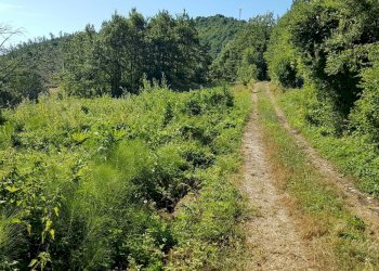 Foto 46 - Rustico Contrada Campolavoro, Riccia - foto 46