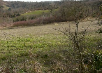 Foto 47 - Rustico Contrada Campolavoro, Riccia - foto 47