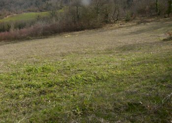 Foto 48 - Rustico Contrada Campolavoro, Riccia - foto 48