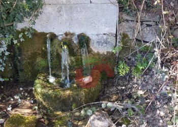 Foto 49 - Rustico Contrada Campolavoro, Riccia - foto 49