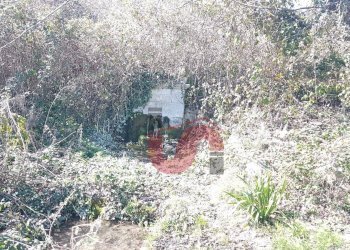 Foto 52 - Rustico Contrada Campolavoro, Riccia - foto 52