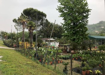 Foto 4 - Terreno edificabile Contrada Pontecorvo
 
32, Benevento - foto 4