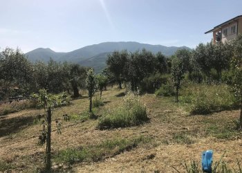 Foto 2 - Terreno edificabile Via Sala - ZONA iNDUSTRIALE, Foglianise - foto 2