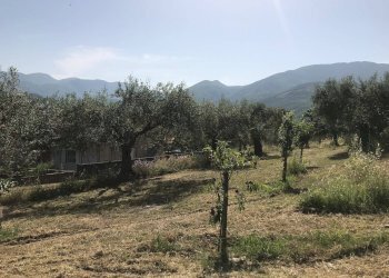 Foto 3 - Terreno edificabile Via Sala - ZONA iNDUSTRIALE, Foglianise - foto 3