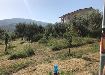 Foto 4 - Terreno edificabile Via Sala - ZONA iNDUSTRIALE, Foglianise - foto 4