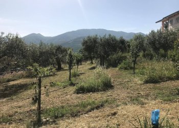 Foto 5 - Terreno edificabile Via Sala - ZONA iNDUSTRIALE, Foglianise - foto 5